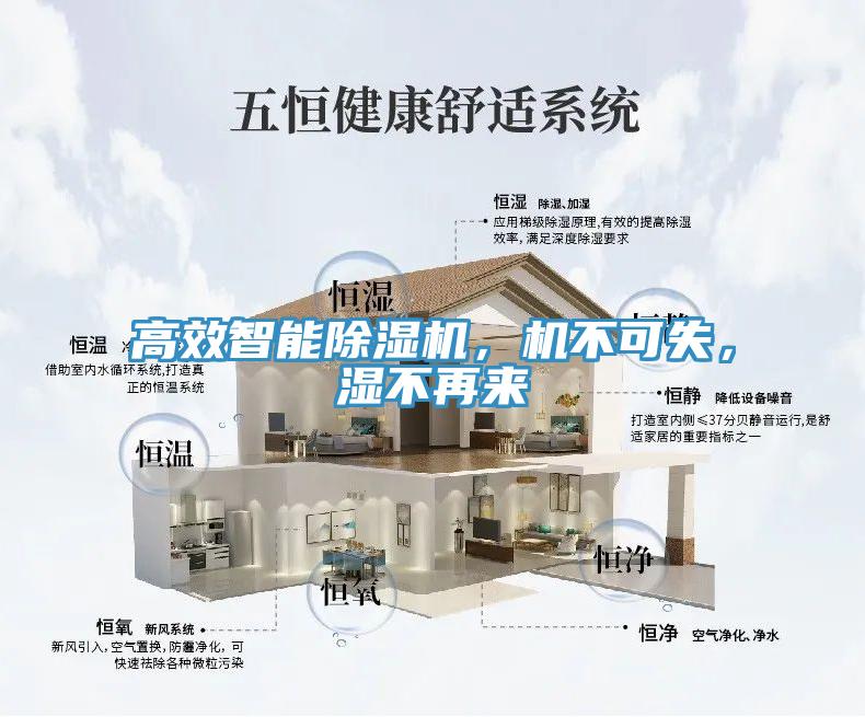高效智能除濕機(jī)，機(jī)不可失，濕不再來(lái)