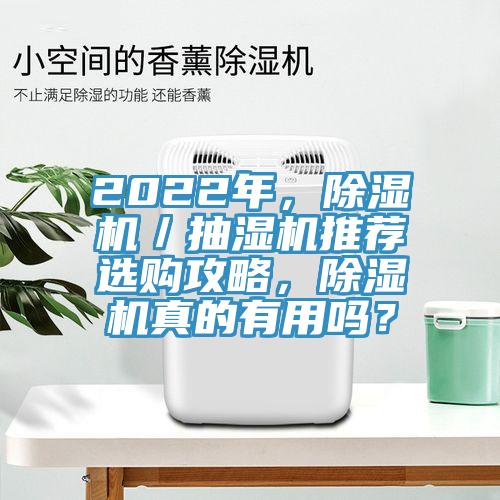 2022年，除濕機／抽濕機推薦選購攻略，除濕機真的有用嗎？