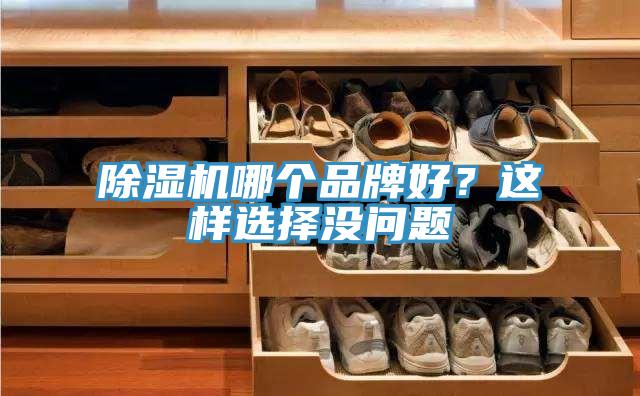 除濕機哪個品牌好？這樣選擇沒問題