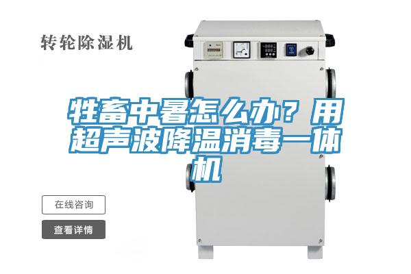 牲畜中暑怎么辦？用超聲波降溫消毒一體機
