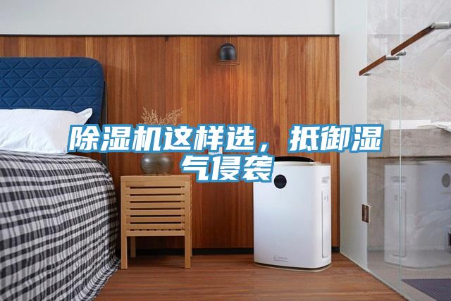 除濕機這樣選，抵御濕氣侵襲