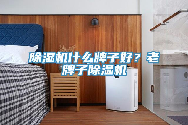 除濕機(jī)什么牌子好？老牌子除濕機(jī)