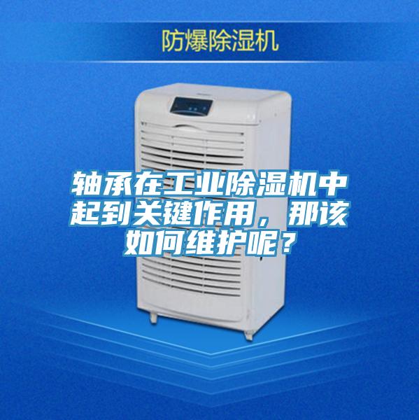 軸承在工業除濕機中起到關鍵作用，那該如何維護呢？