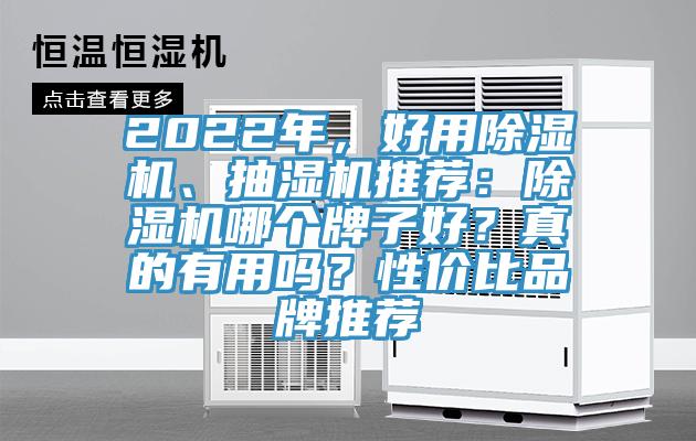 2022年，好用除濕機、抽濕機推薦：除濕機哪個牌子好？真的有用嗎？性價比品牌推薦