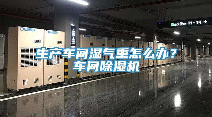 生產車間濕氣重怎么辦？車間除濕機