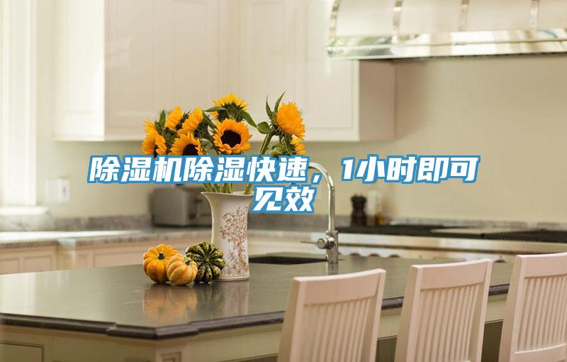除濕機除濕快速，1小時即可見效