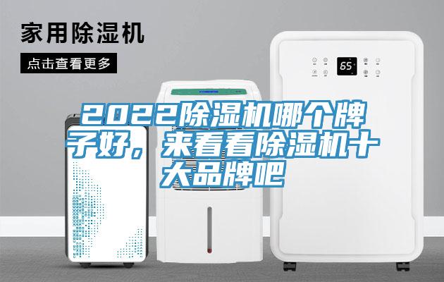 2022除濕機哪個牌子好，來看看除濕機十大品牌吧