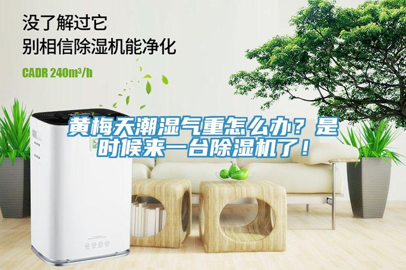 黃梅天潮濕氣重怎么辦？是時候來一臺除濕機了！