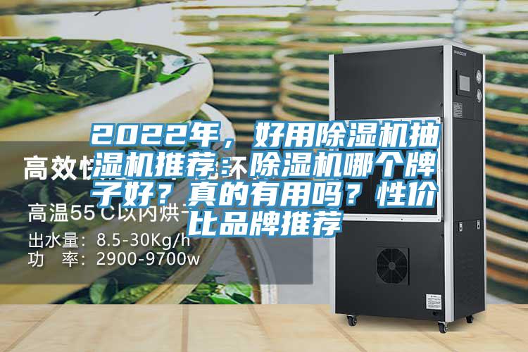 2022年，好用除濕機抽濕機推薦：除濕機哪個牌子好？真的有用嗎？性價比品牌推薦