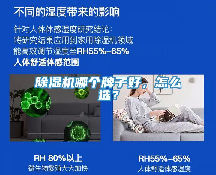 除濕機哪個牌子好，怎么選？