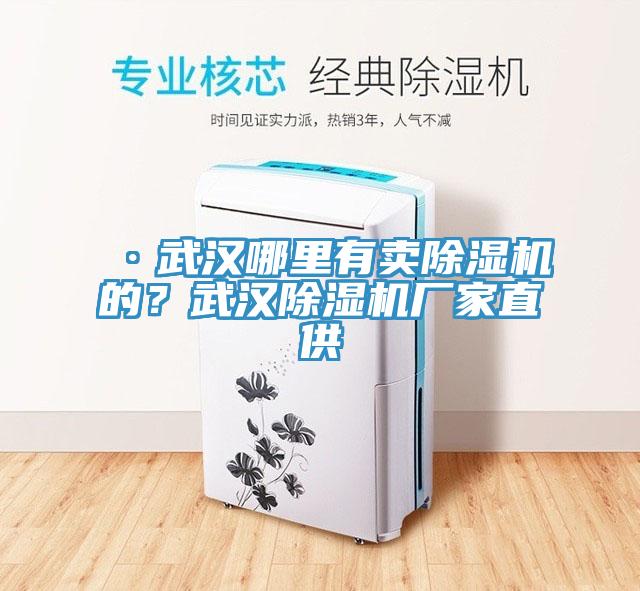 ·武漢哪里有賣除濕機的？武漢除濕機廠家直供