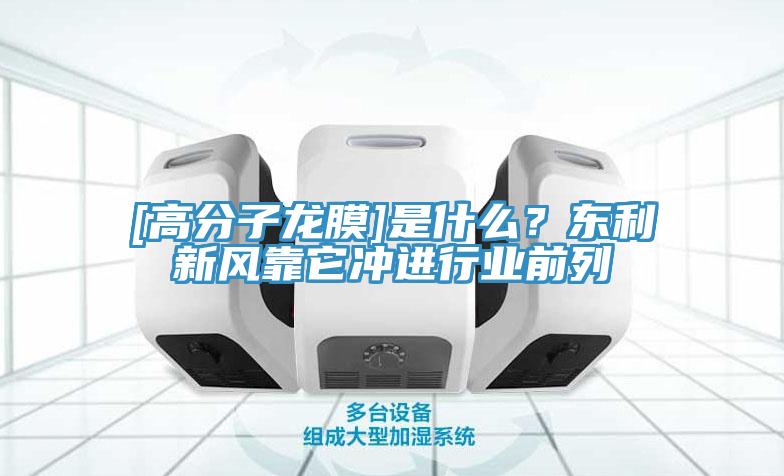 [高分子龍膜]是什么？東利新風靠它沖進行業前列