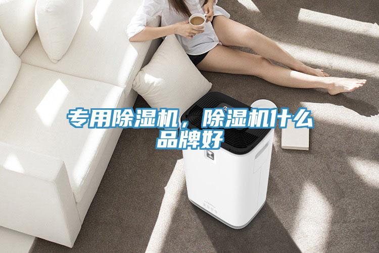 專用除濕機，除濕機什么品牌好