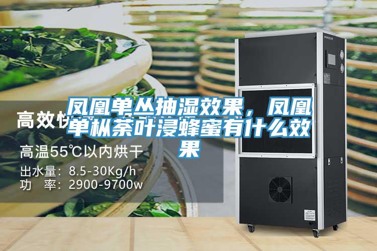 鳳凰單叢抽濕效果，鳳凰單樅荼葉浸蜂蜜有什么效果