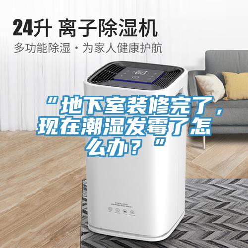 “地下室裝修完了，現在潮濕發霉了怎么辦？”