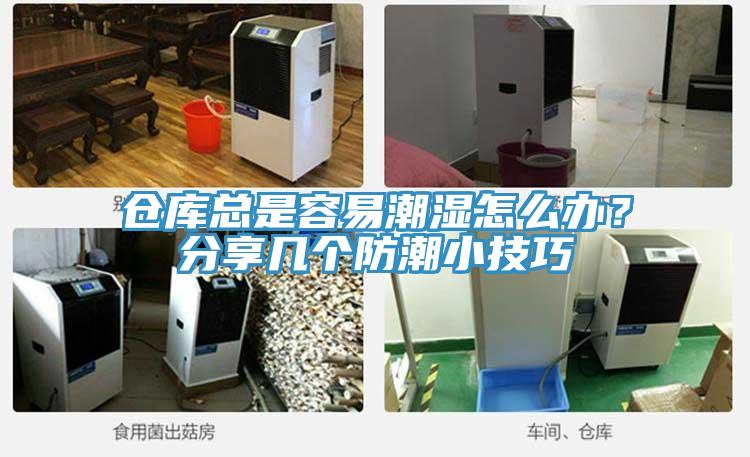 倉庫總是容易潮濕怎么辦？分享幾個防潮小技巧