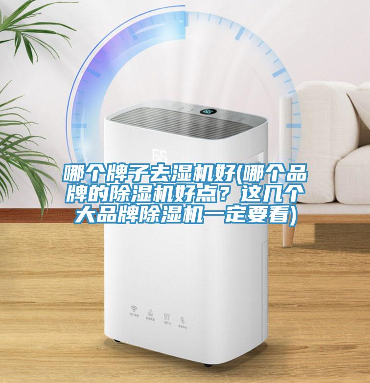 哪個牌子去濕機好(哪個品牌的除濕機好點？這幾個大品牌除濕機一定要看)