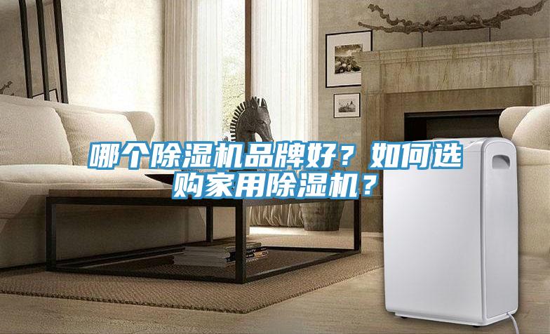 哪個除濕機品牌好？如何選購家用除濕機？