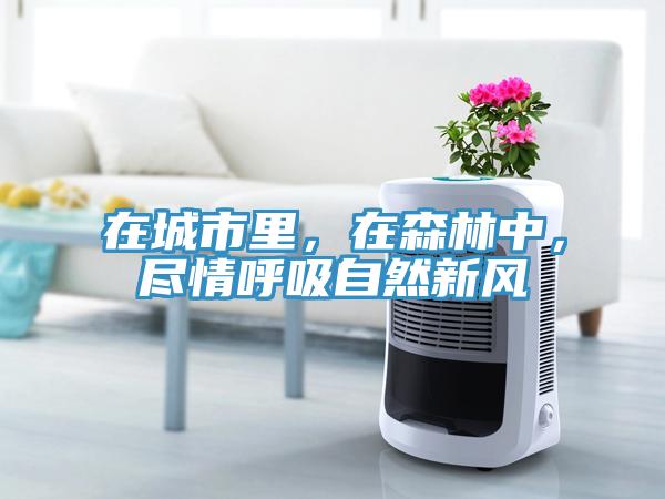 在城市里，在森林中，盡情呼吸自然新風(fēng)