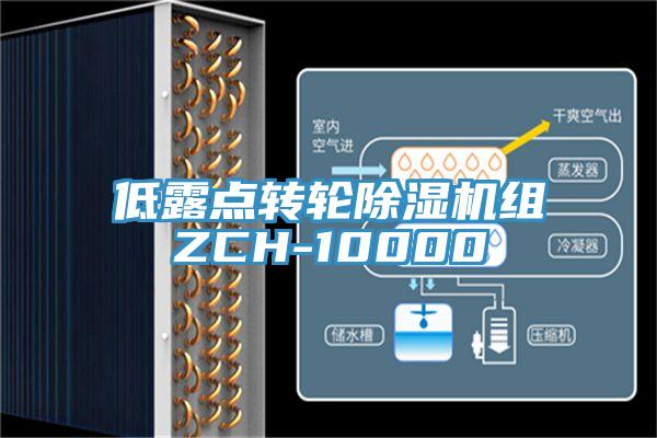 低露點轉(zhuǎn)輪除濕機(jī)組ZCH-10000