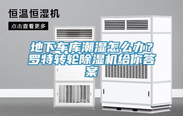 地下車庫潮濕怎么辦？羅特轉輪除濕機給你答案