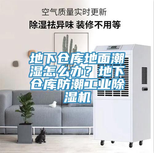 地下倉庫地面潮濕怎么辦？地下倉庫防潮工業(yè)除濕機