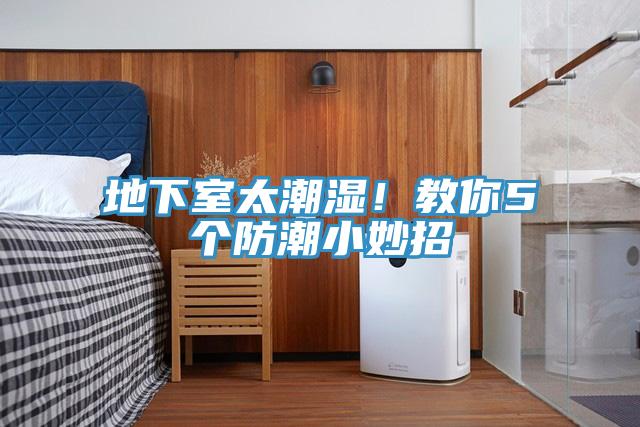 地下室太潮濕！教你5個防潮小妙招