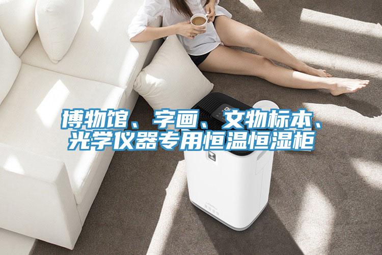 博物館、字畫、文物標本、光學儀器專用恒溫恒濕柜