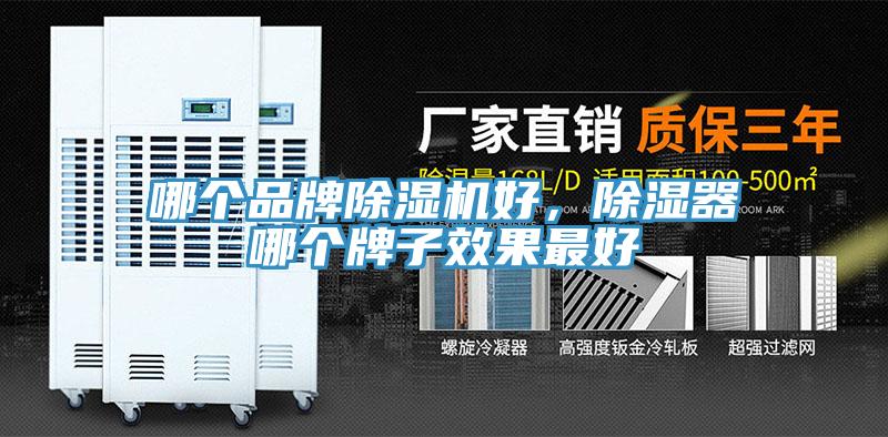 哪個品牌除濕機好，除濕器哪個牌子效果最好