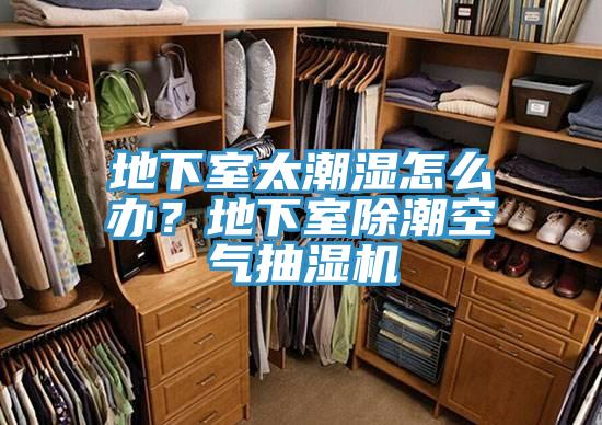 地下室太潮濕怎么辦？地下室除潮空氣抽濕機(jī)
