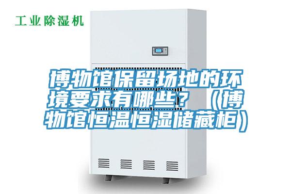 博物館保留場地的環境要求有哪些？（博物館恒溫恒濕儲藏柜）