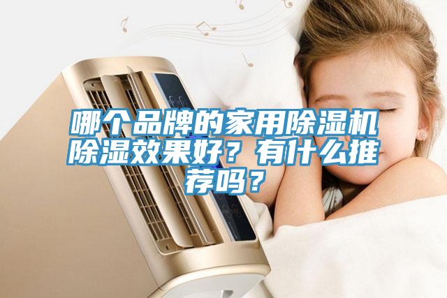 哪個品牌的家用除濕機除濕效果好？有什么推薦嗎？