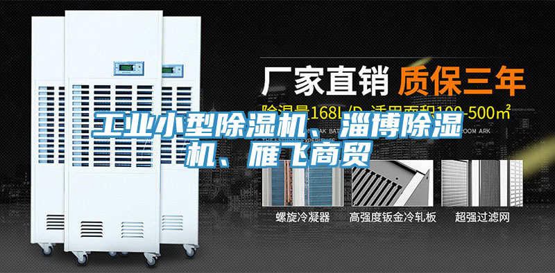 工業(yè)小型除濕機、淄博除濕機、雁飛商貿(mào)