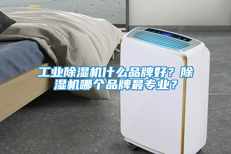 工業(yè)除濕機(jī)什么品牌好？除濕機(jī)哪個(gè)品牌最專業(yè)？