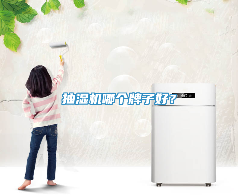 抽濕機哪個牌子好？