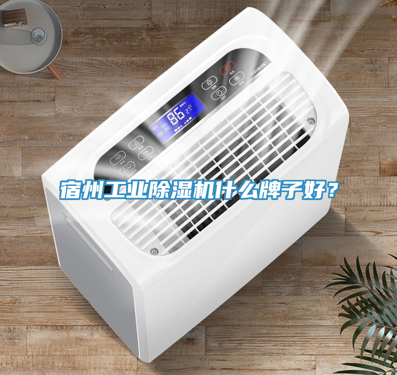 宿州工業(yè)除濕機什么牌子好？