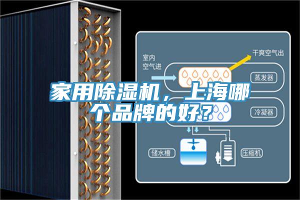 家用除濕機，上海哪個品牌的好？