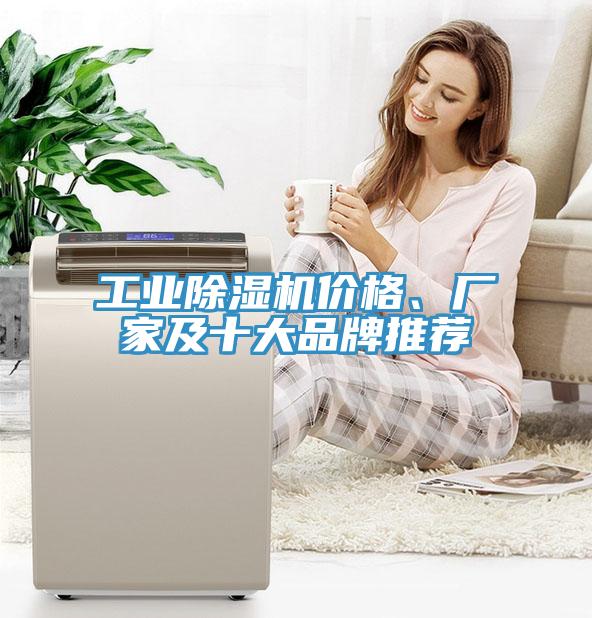 工業(yè)除濕機(jī)價(jià)格、廠家及十大品牌推薦