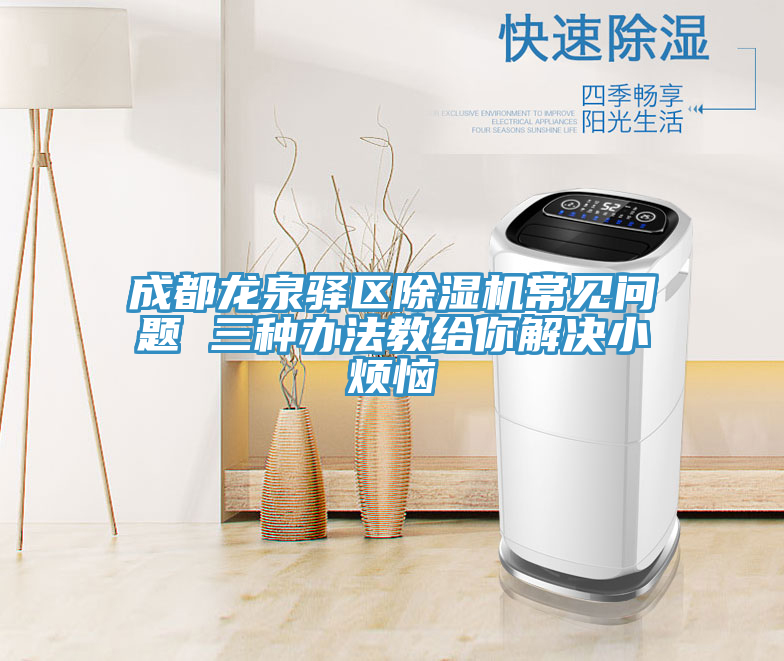 成都龍泉驛區(qū)除濕機(jī)常見問(wèn)題 三種辦法教給你解決小煩惱