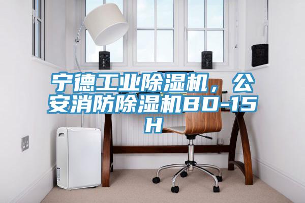 寧德工業(yè)除濕機(jī)，公安消防除濕機(jī)BD-15H