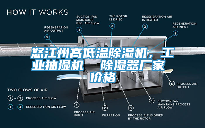 怒江州高低溫除濕機，工業(yè)抽濕機  除濕器廠家 價格