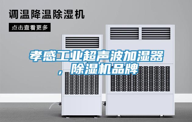 孝感工業(yè)超聲波加濕器，除濕機(jī)品牌
