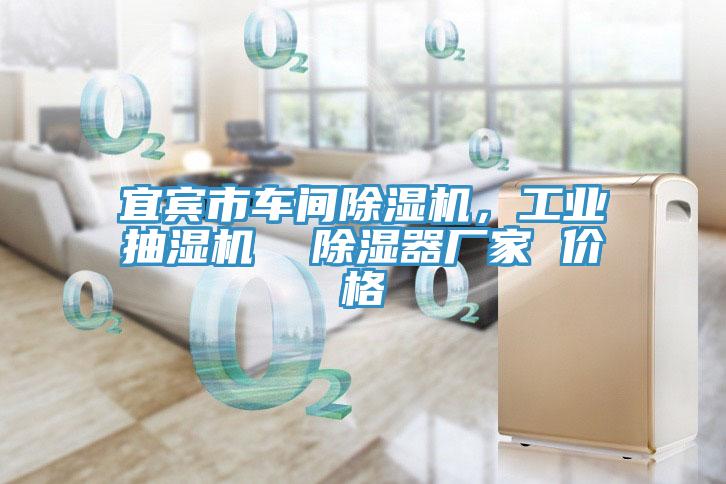 宜賓市車間除濕機，工業(yè)抽濕機  除濕器廠家 價格