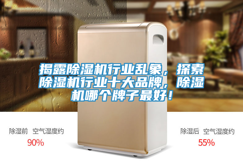 揭露除濕機(jī)行業(yè)亂象，探索除濕機(jī)行業(yè)十大品牌，除濕機(jī)哪個牌子最好！