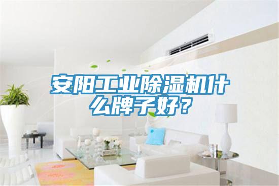 安陽(yáng)工業(yè)除濕機(jī)什么牌子好？