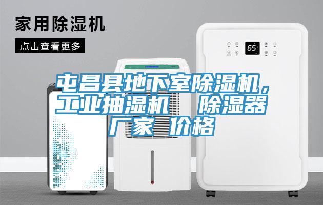 屯昌縣地下室除濕機(jī)，工業(yè)抽濕機(jī)  除濕器廠家 價(jià)格