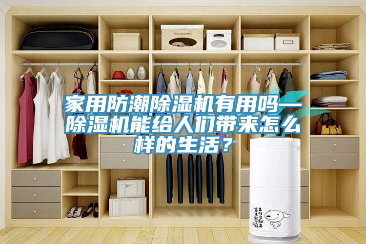 家用防潮除濕機有用嗎—除濕機能給人們帶來怎么樣的生活？