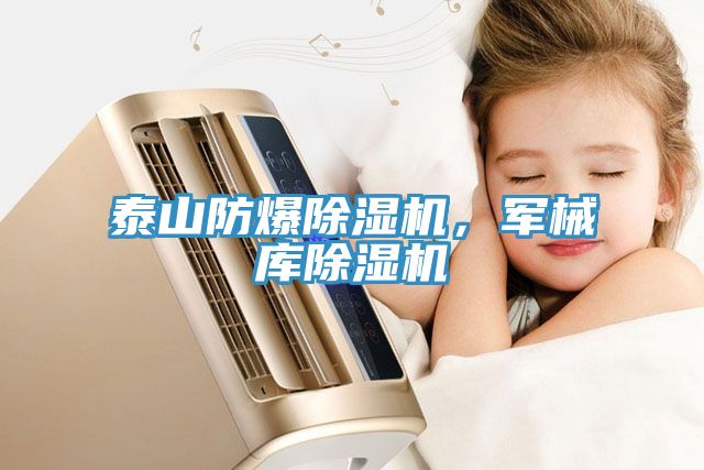泰山防爆除濕機，軍械庫除濕機