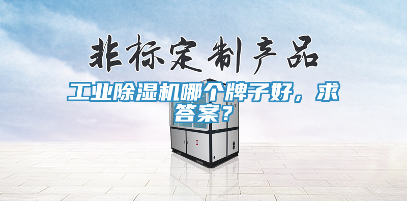 工業(yè)除濕機(jī)哪個牌子好，求答案？