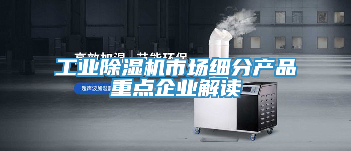 工業(yè)除濕機(jī)市場細(xì)分產(chǎn)品重點企業(yè)解讀